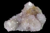 Cactus Quartz (Amethyst) Crystal Cluster - South Africa #137774-1